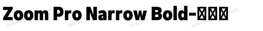 Zoom Pro Narrow Bold字体转换